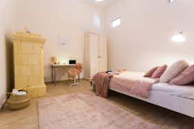 Отдельная комната сдается в аренду за 300 € в месяц в Budapest, Király utca