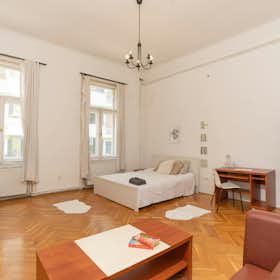Private room for rent for HUF 165,388 per month in Budapest, Szív utca