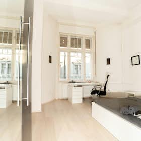 Private room for rent for HUF 146,267 per month in Budapest, Nefelejcs utca
