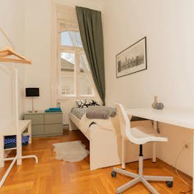 Private room for rent for HUF 118,252 per month in Budapest, Teréz körút