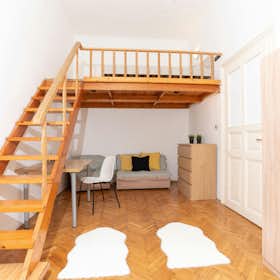 Private room for rent for HUF 136,389 per month in Budapest, Szív utca
