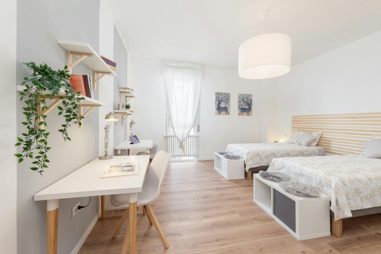 Double room Padova, 1 bed, 19m² — photo 1