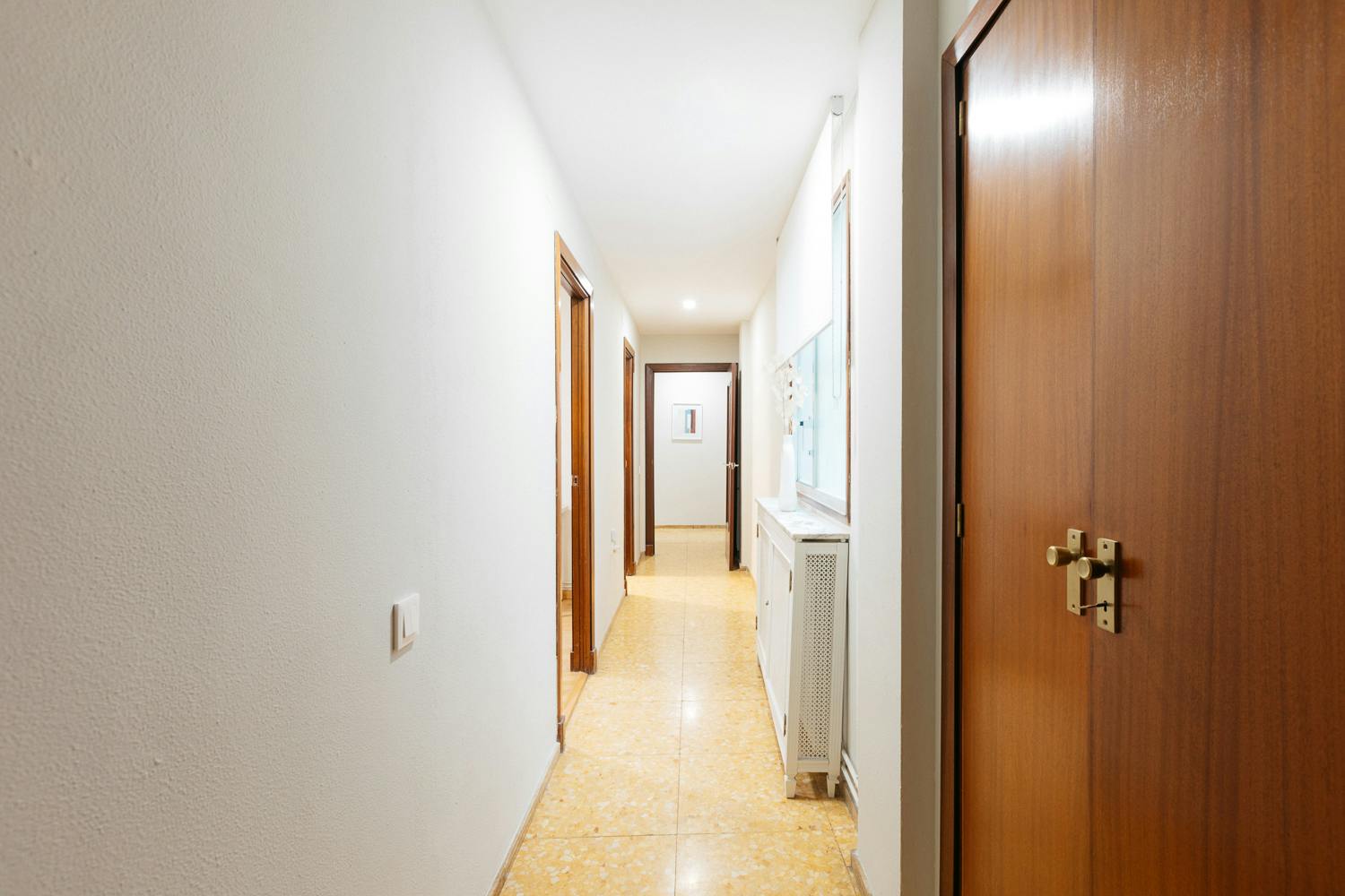 Apartment Valencia, 1 bed, 19m² — photo 1