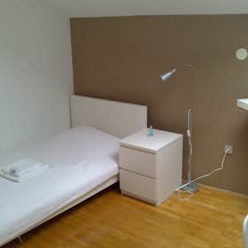 Private room for rent for €399 per month in Ljubljana, Dalmatinova ulica