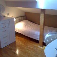 Private room for rent for €380 per month in Ljubljana, Dalmatinova ulica