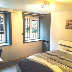 Private room for rent for €750 per month in Schaerbeek, Avenue Milcamps