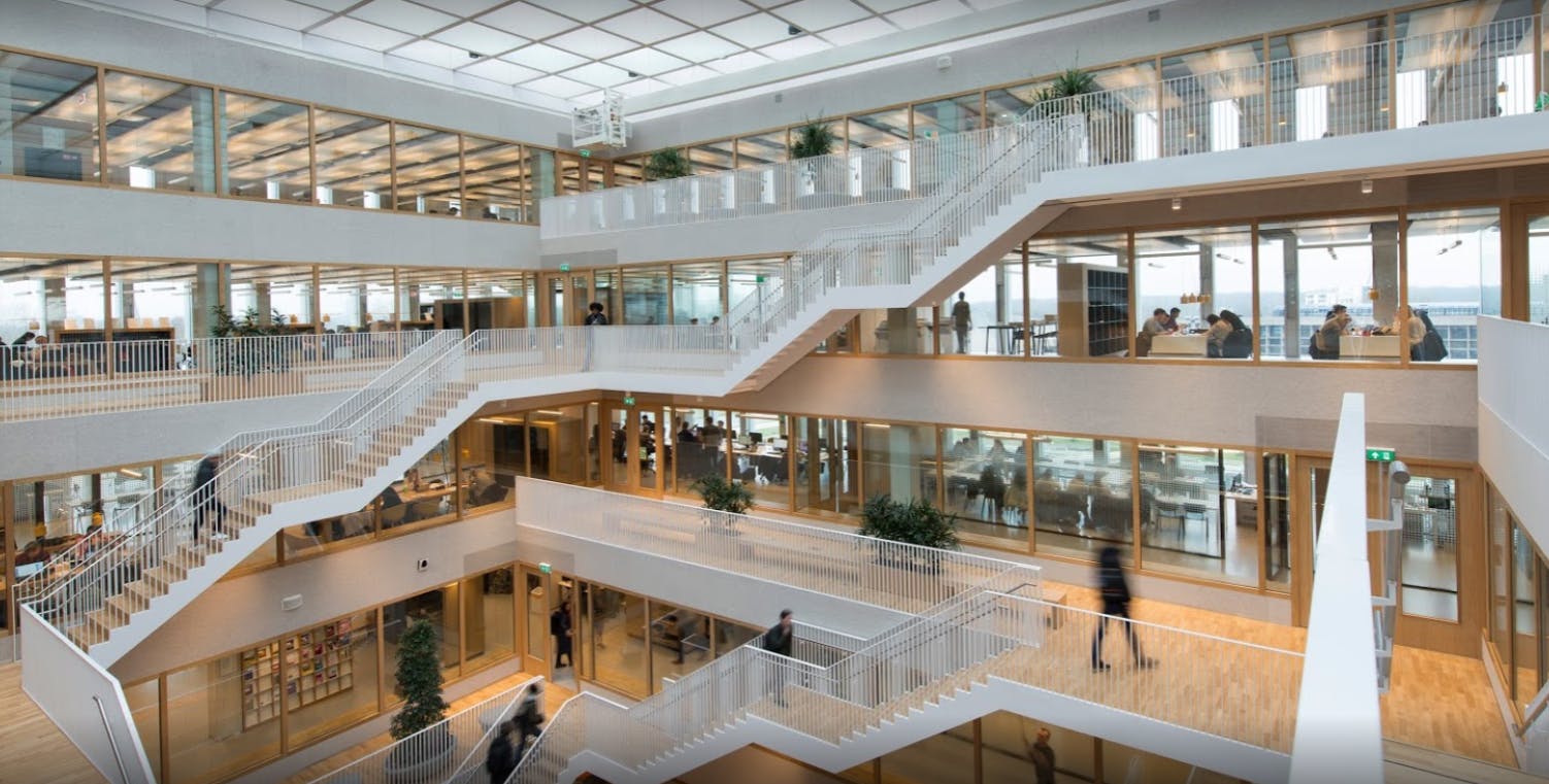 University landscape