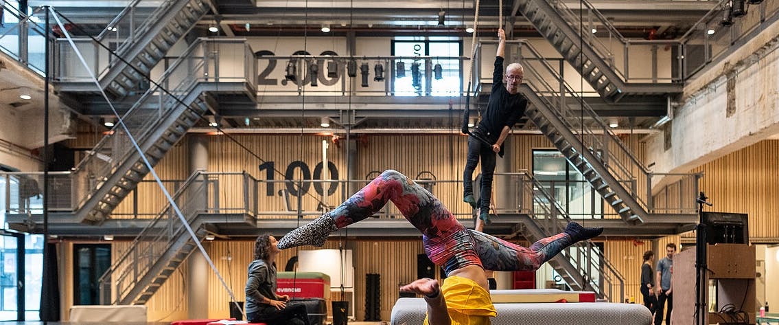 University landscape