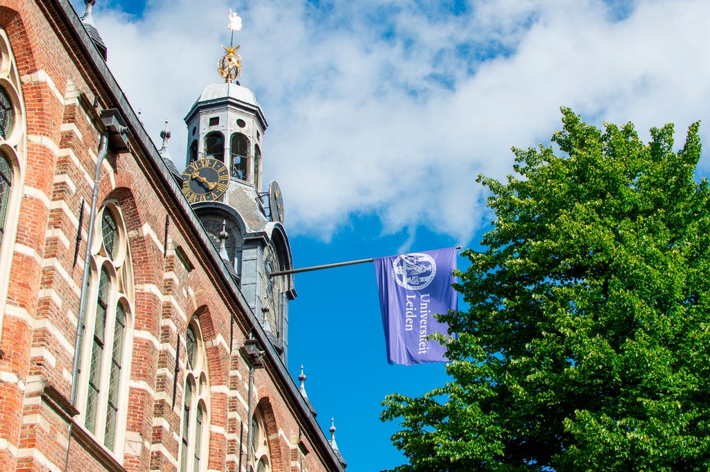 University landscape