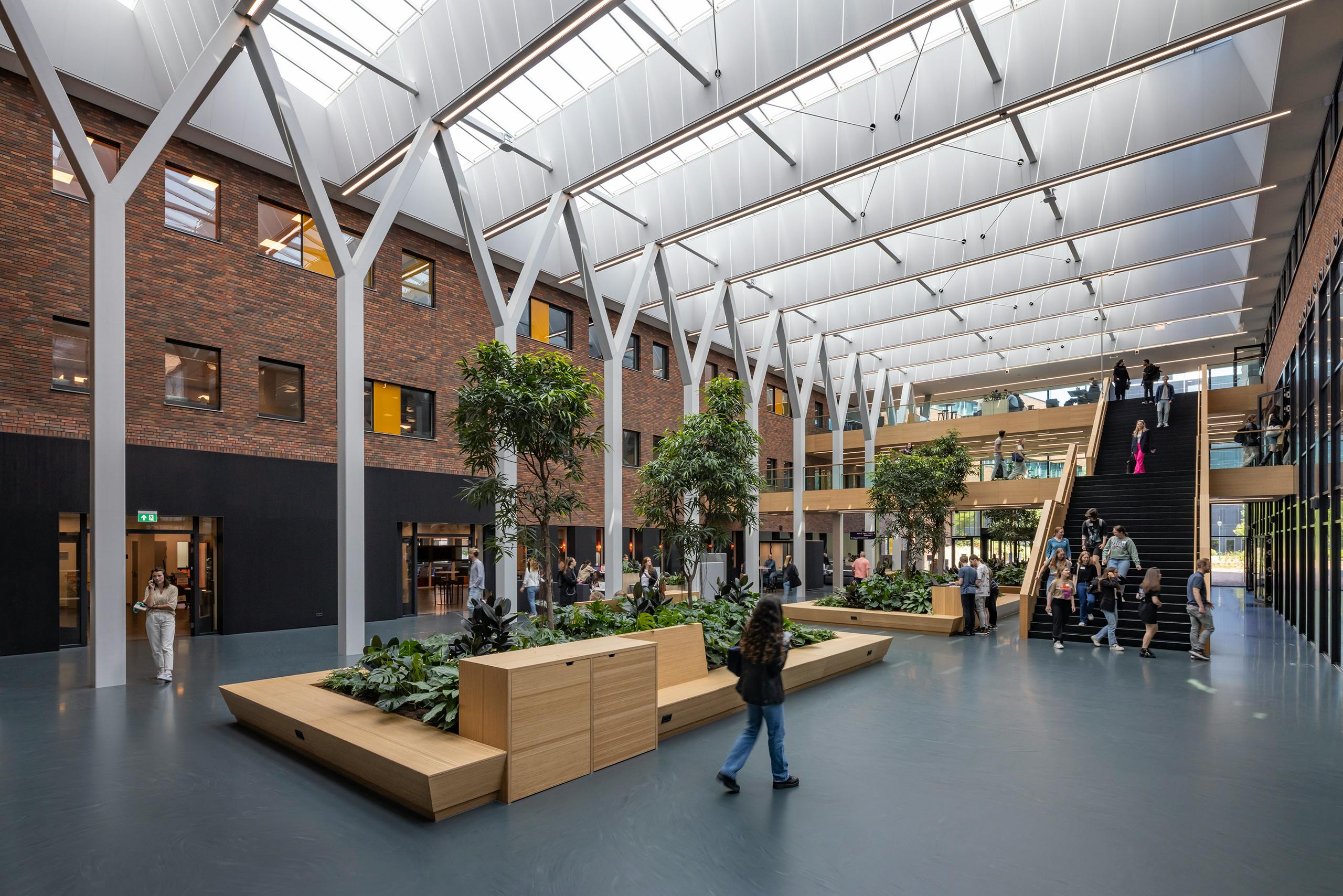 University landscape
