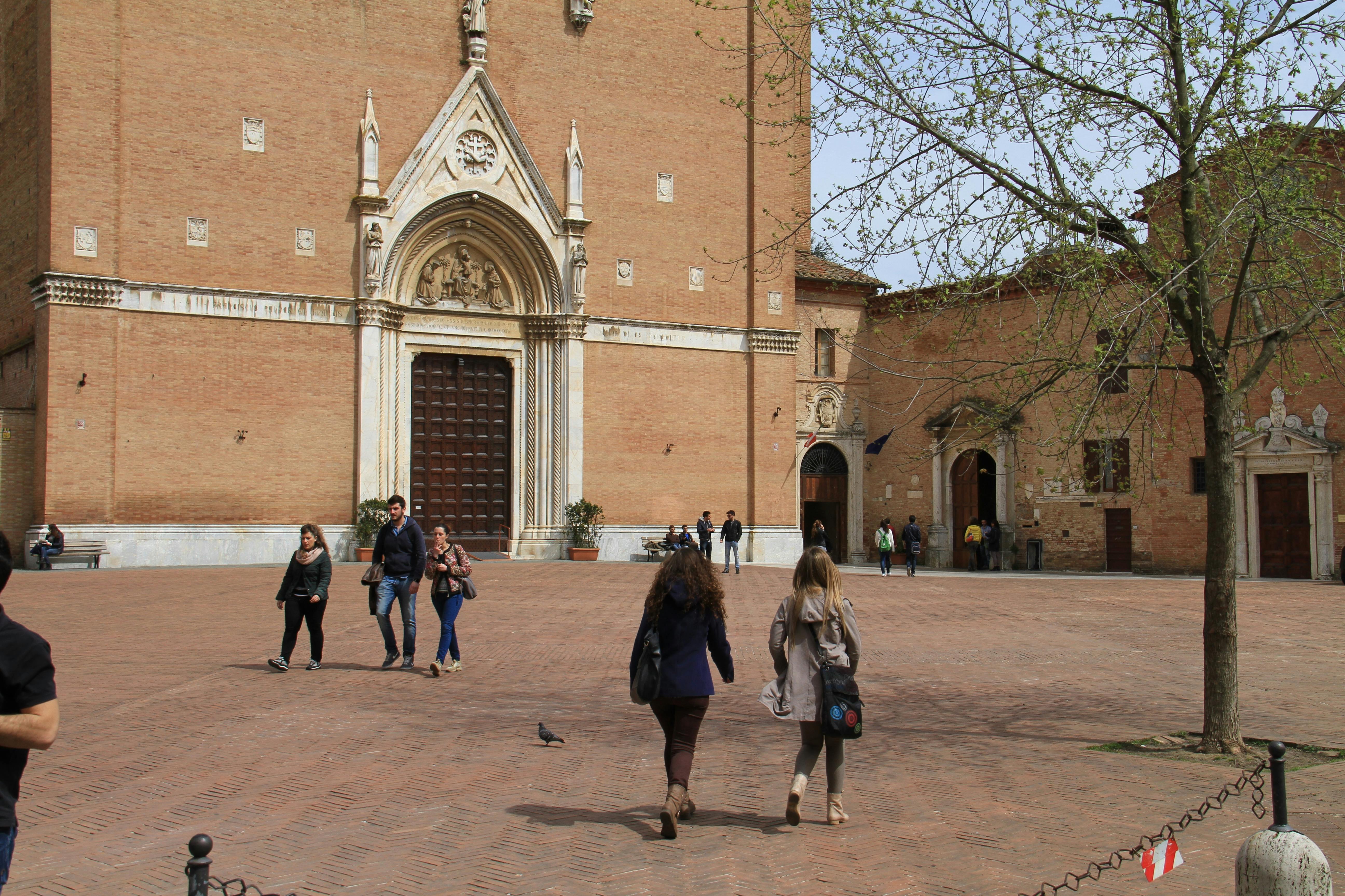 University landscape