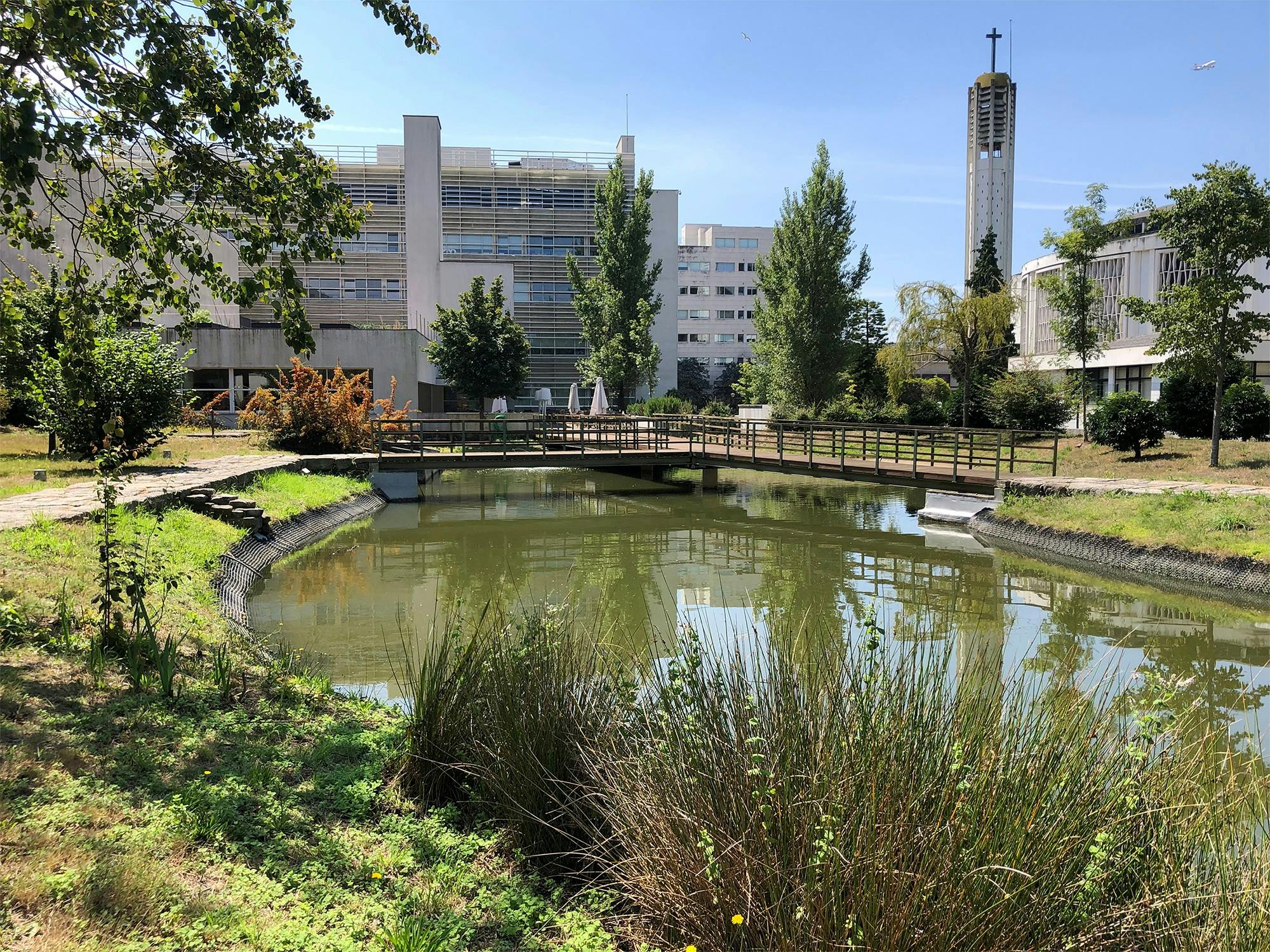 University landscape