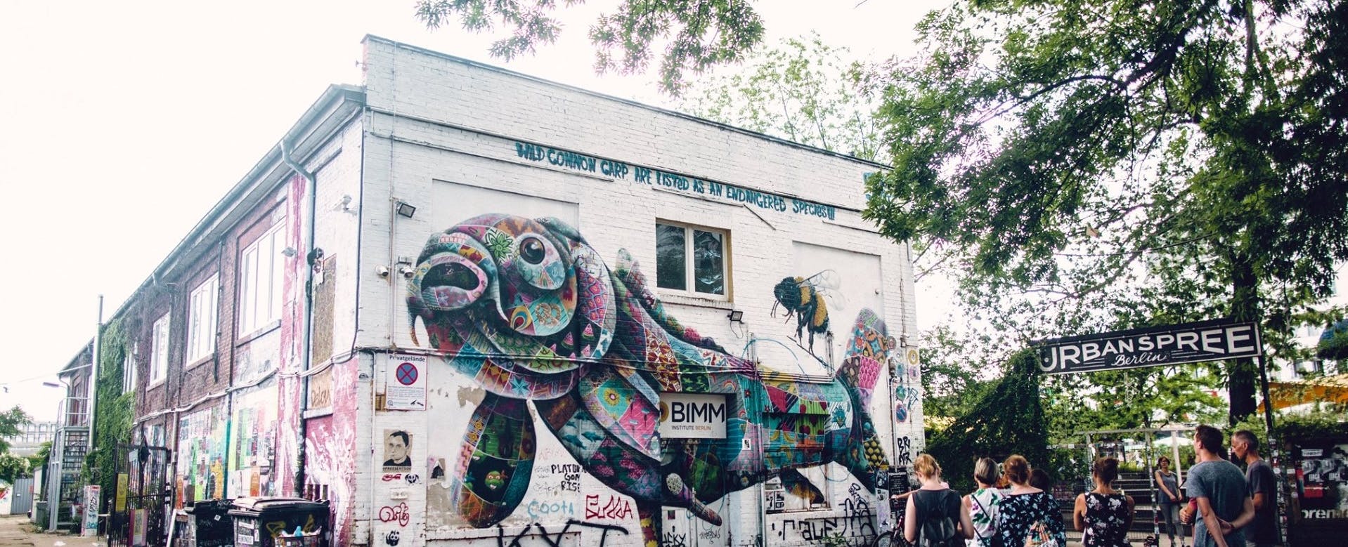 University landscape