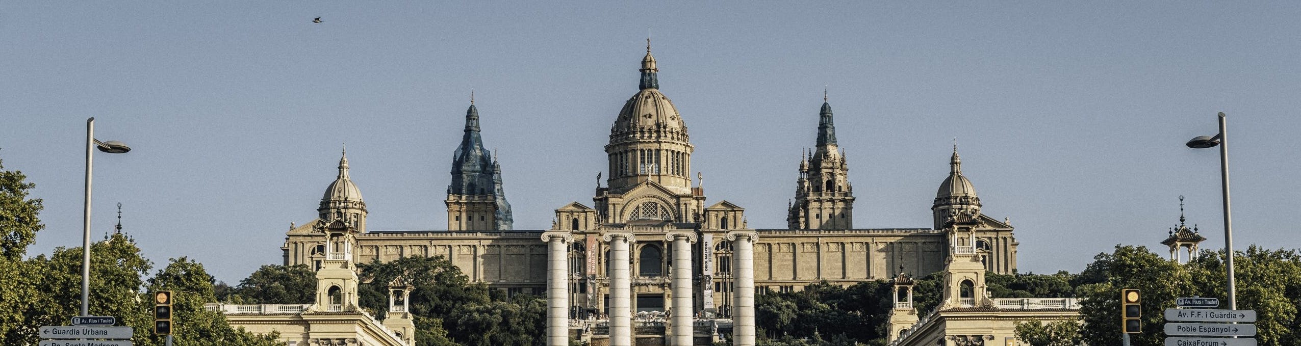 University landscape