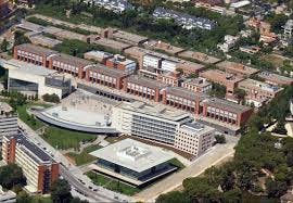 University landscape