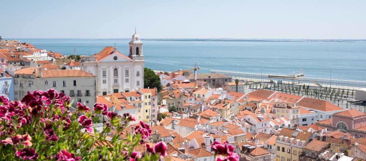 University landscape