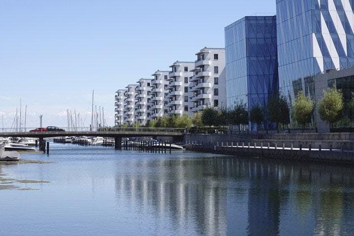 University landscape