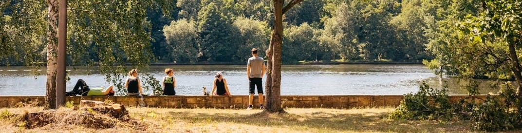 University landscape