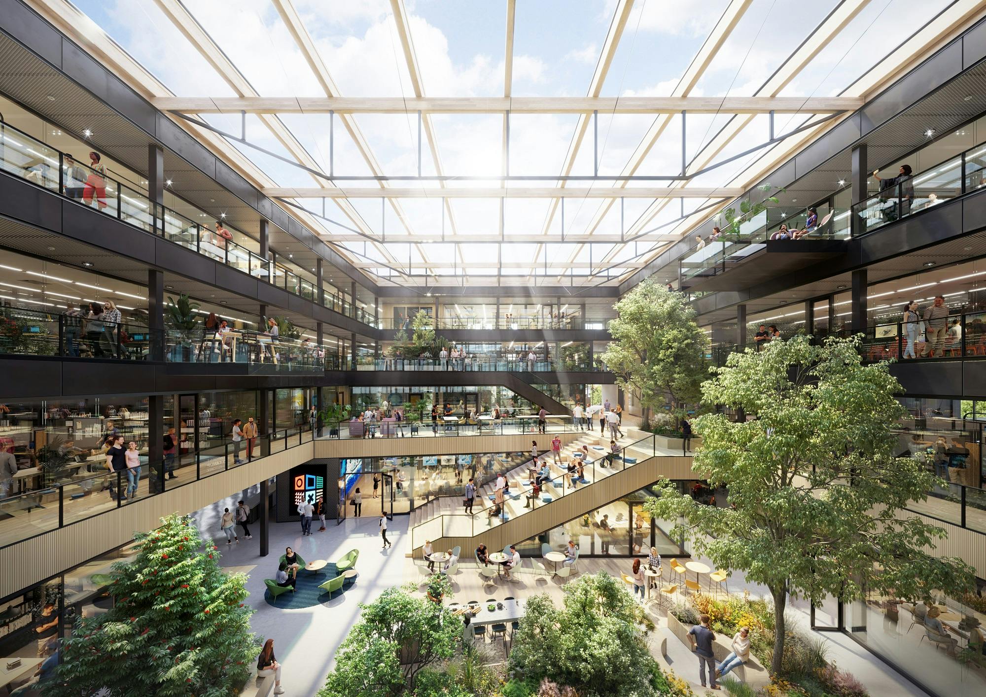 Signup Banner Background