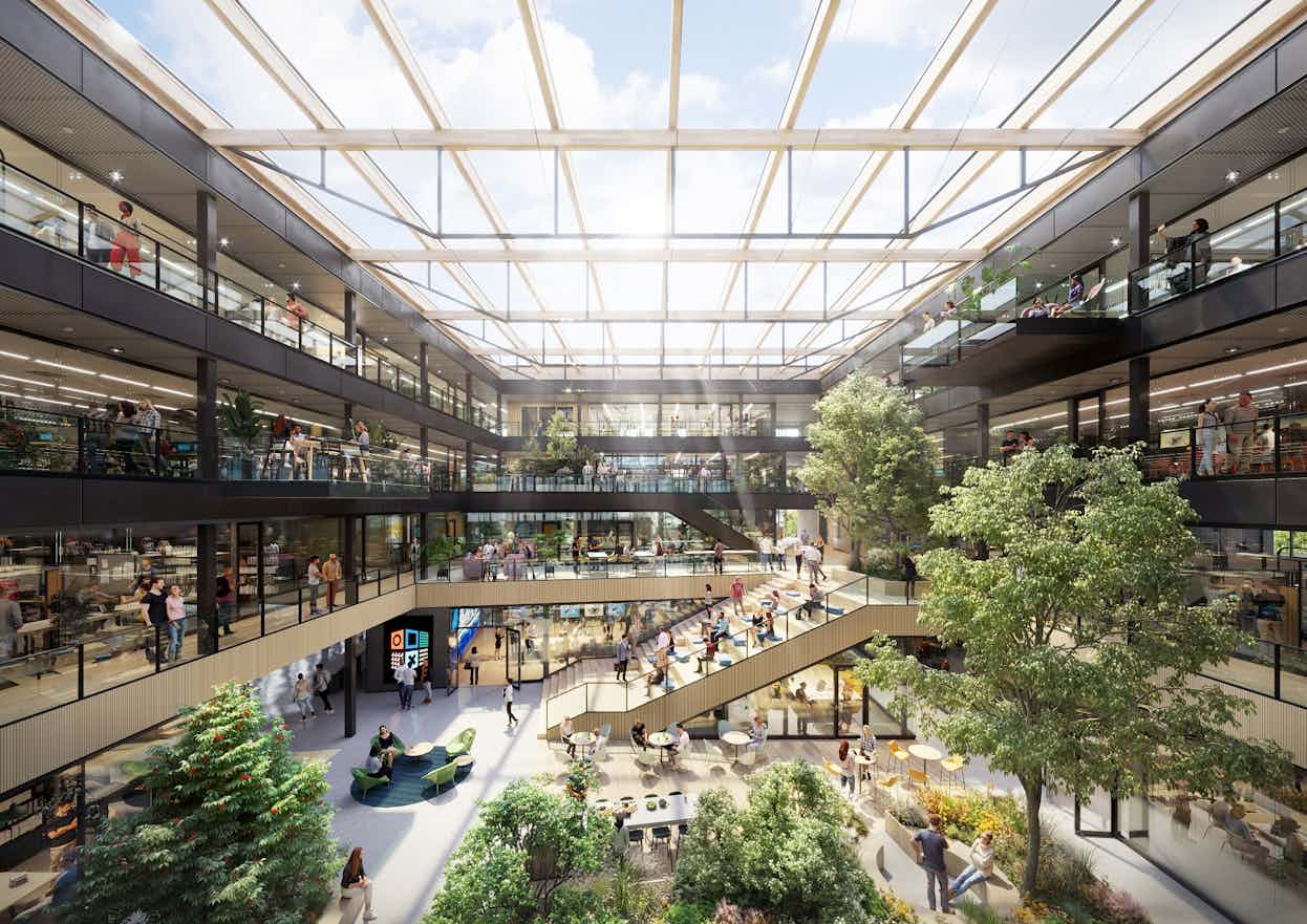 Signup Banner Background