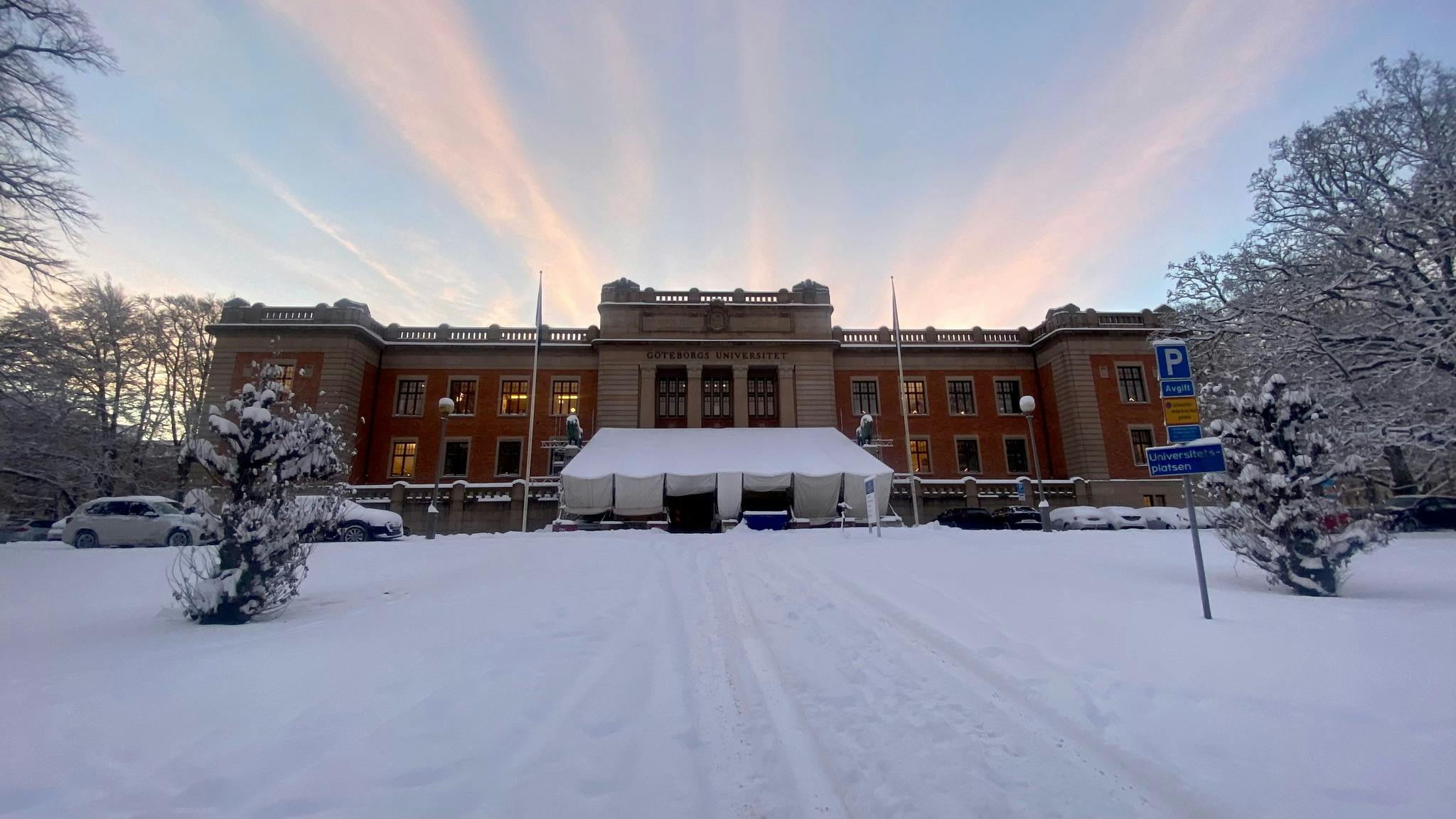 Signup Banner Background