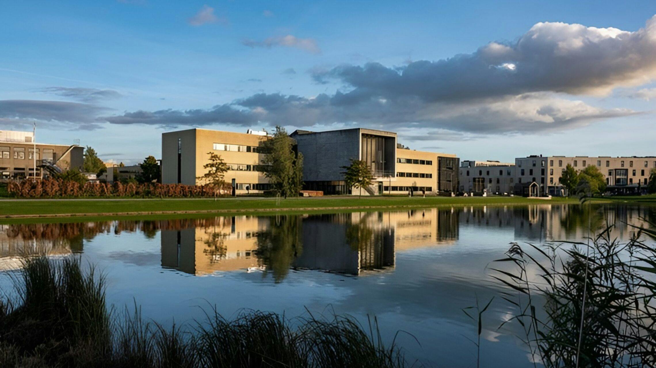 Signup Banner Background