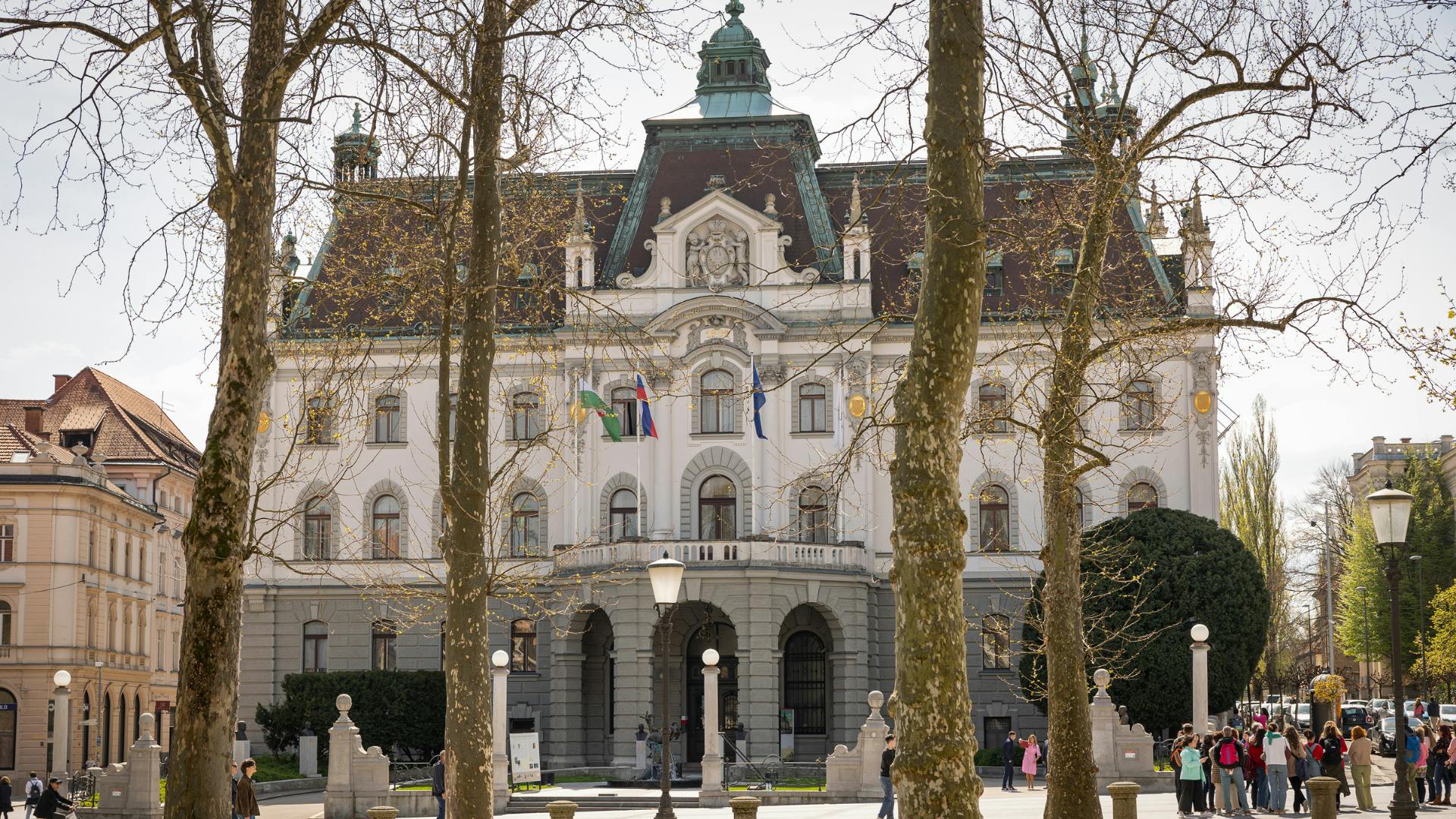 Signup Banner Background