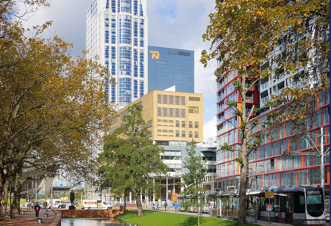 Signup Banner Background