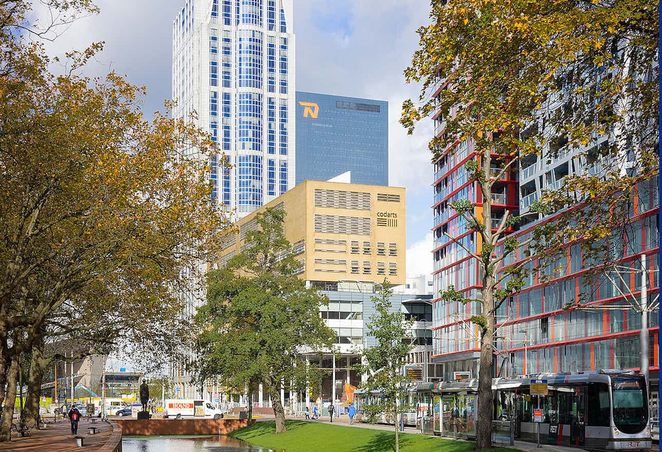 Signup Banner Background