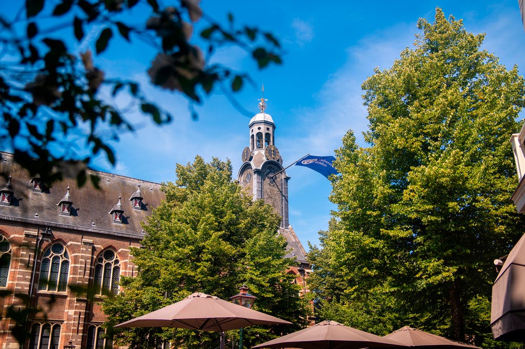 Signup Banner Background