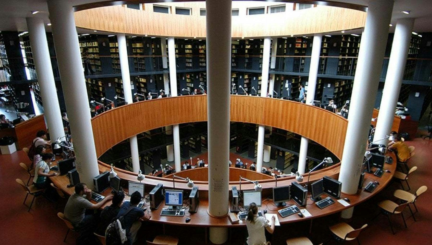 Signup Banner Background