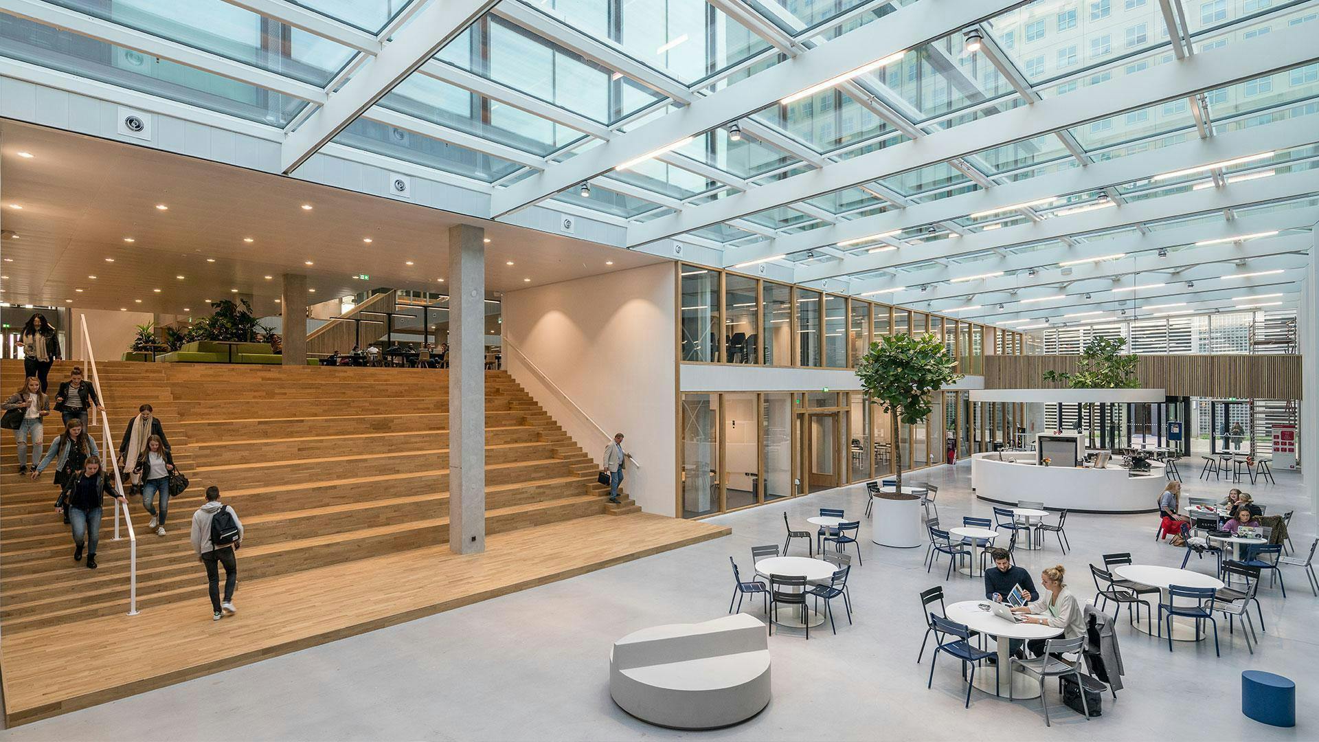 Signup Banner Background