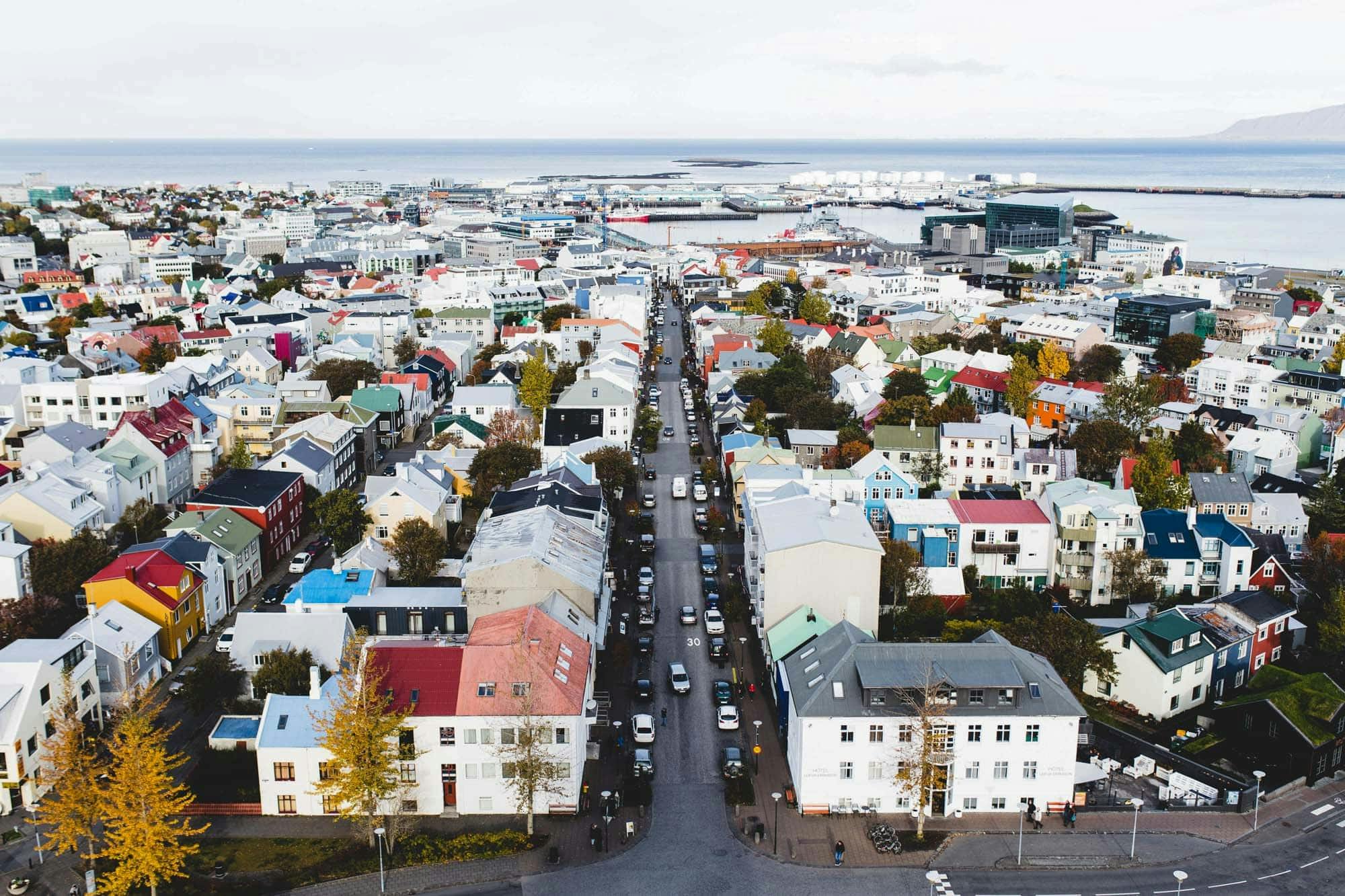 Signup Banner Background