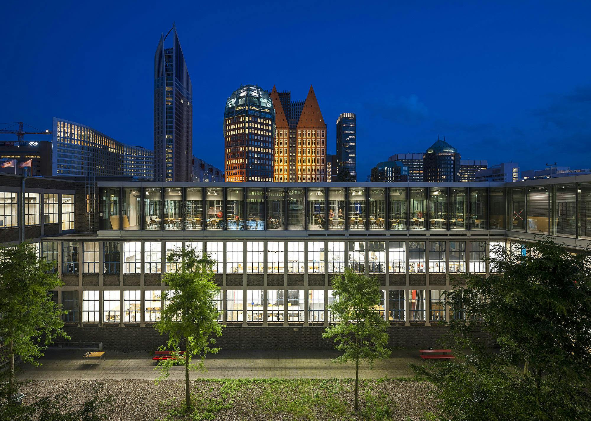 Signup Banner Background