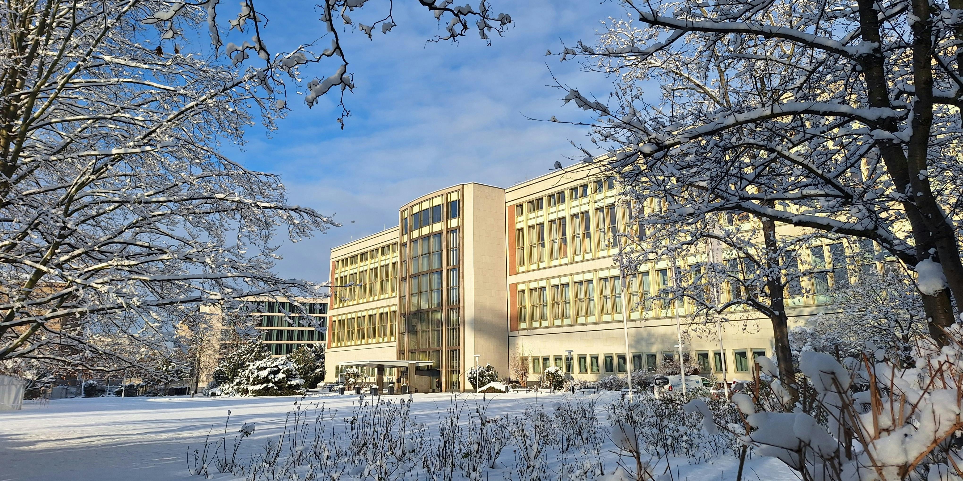 Signup Banner Background