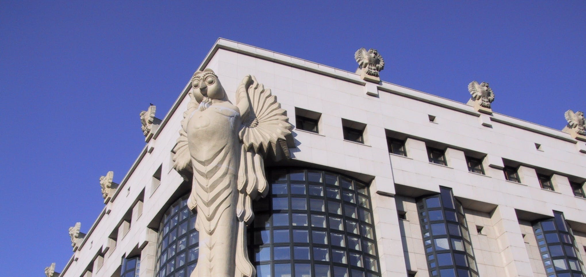 Signup Banner Background