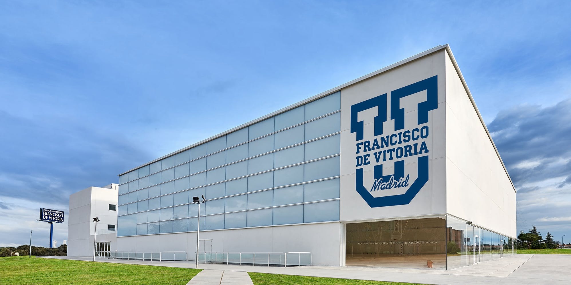 Signup Banner Background