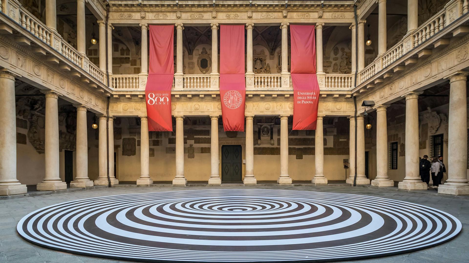 Signup Banner Background