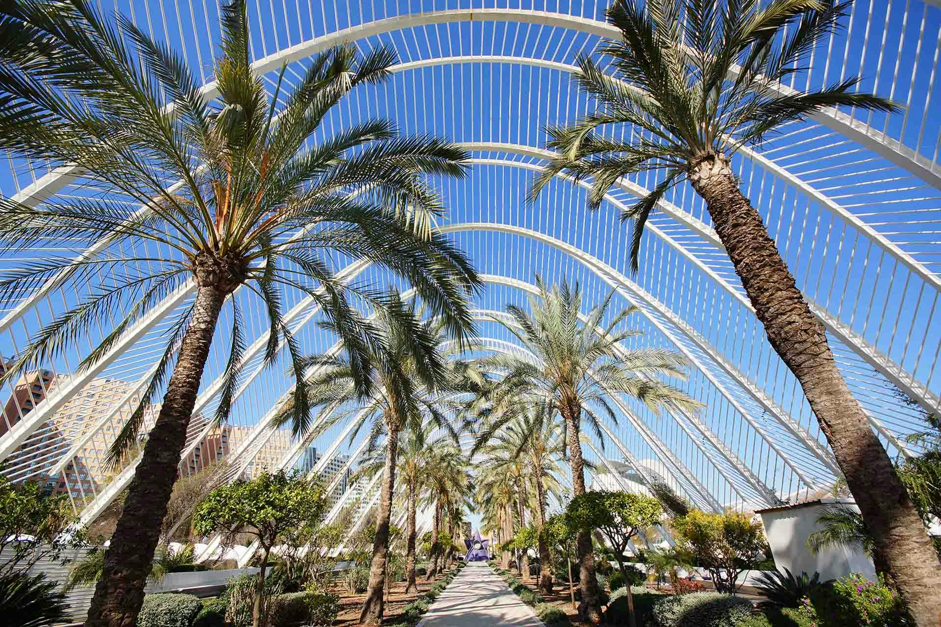 Signup Banner Background