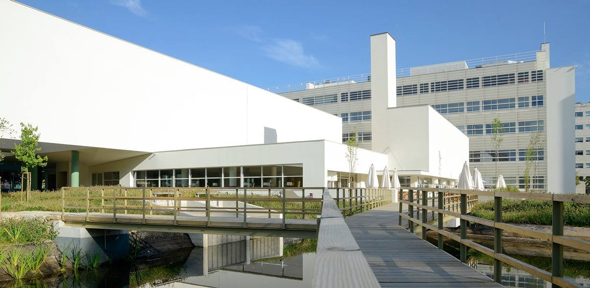 Signup Banner Background