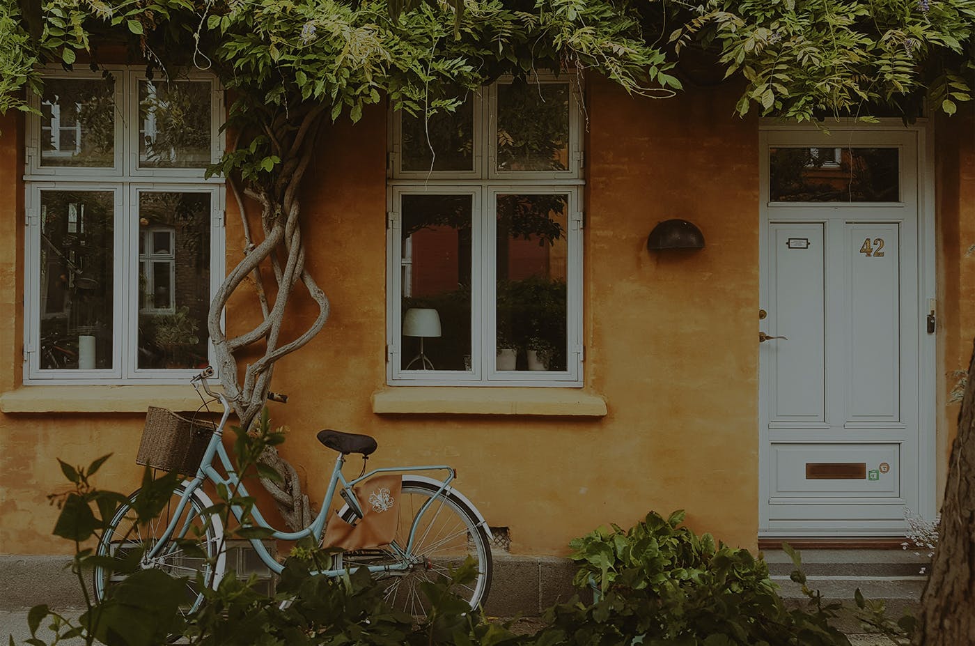 Signup Banner Background