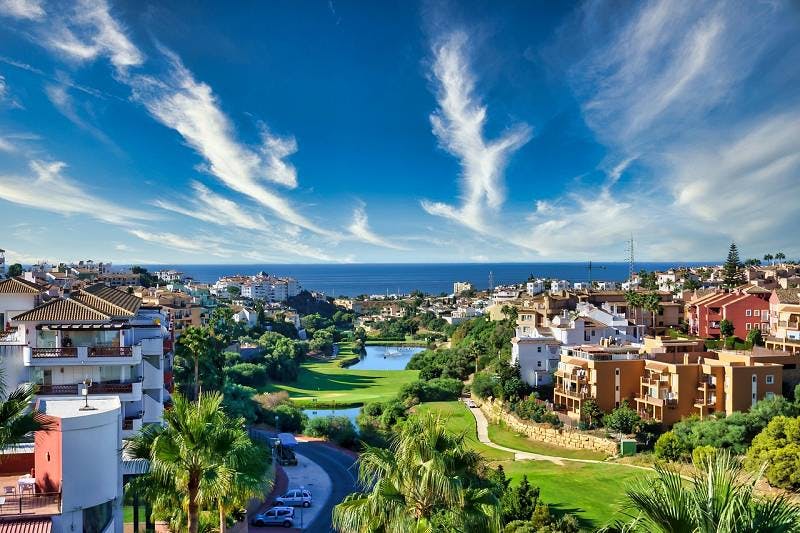 Signup Banner Background