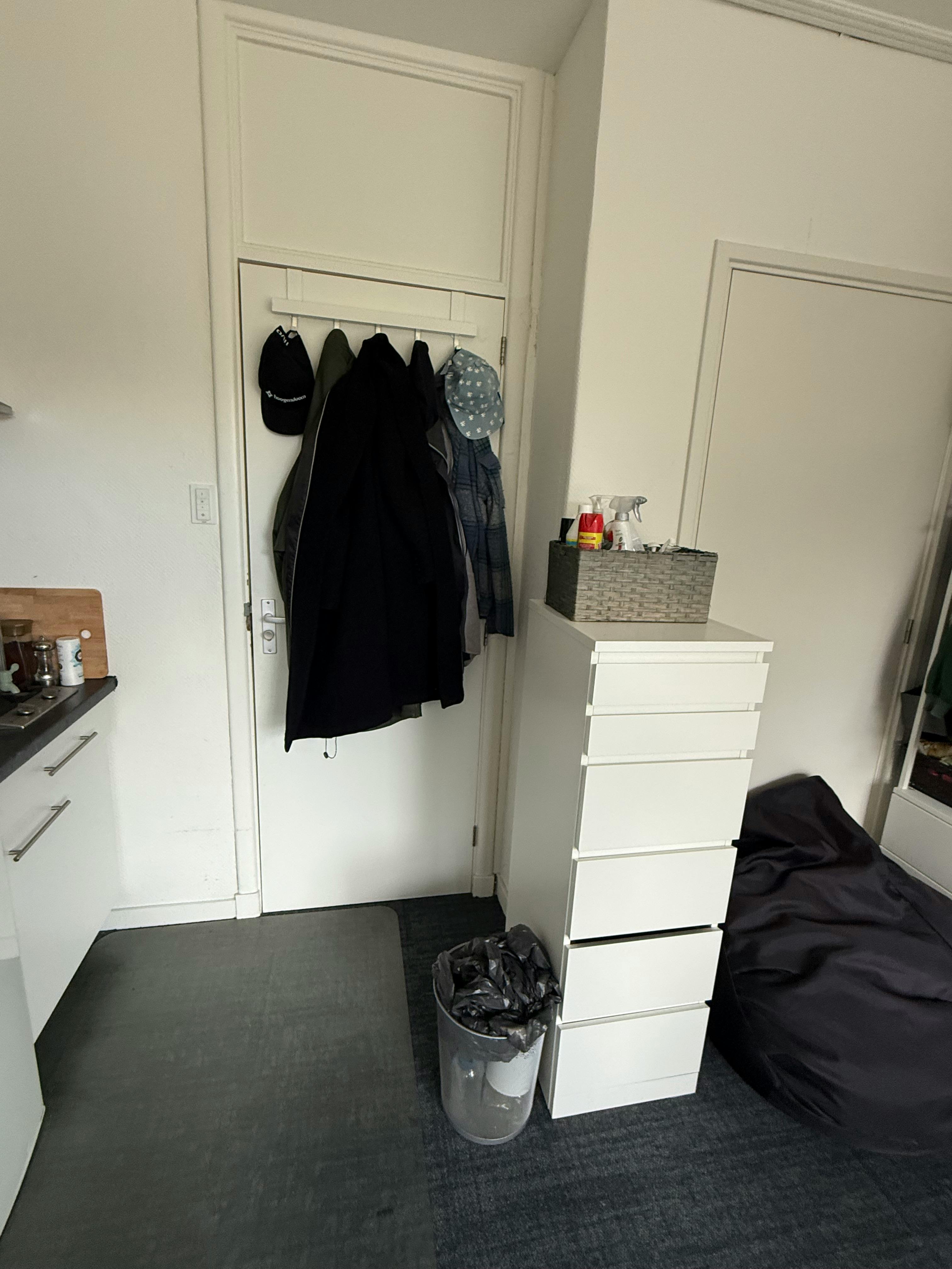 Apartment in Julianalaan, Delft (1002478) room image 9