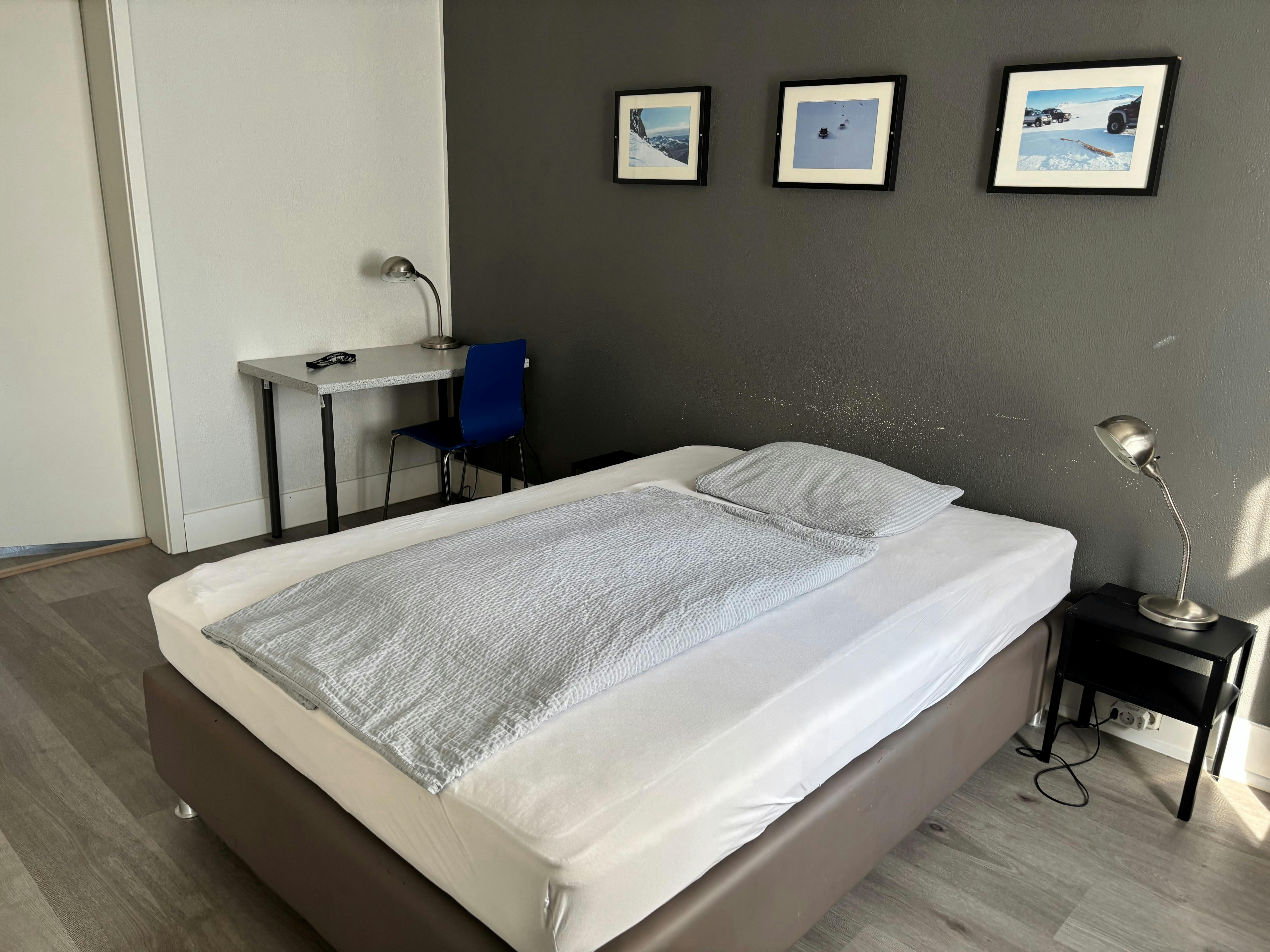 Freyjugata, Reykjavík preview