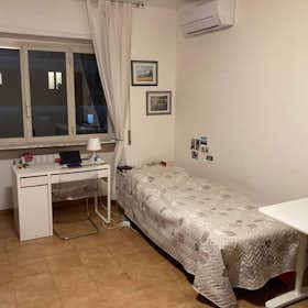 Private room for rent for €600 per month in Rome, Viale Tito Labieno