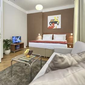 Studio for rent for CZK 47,984 per month in Prague, Masná