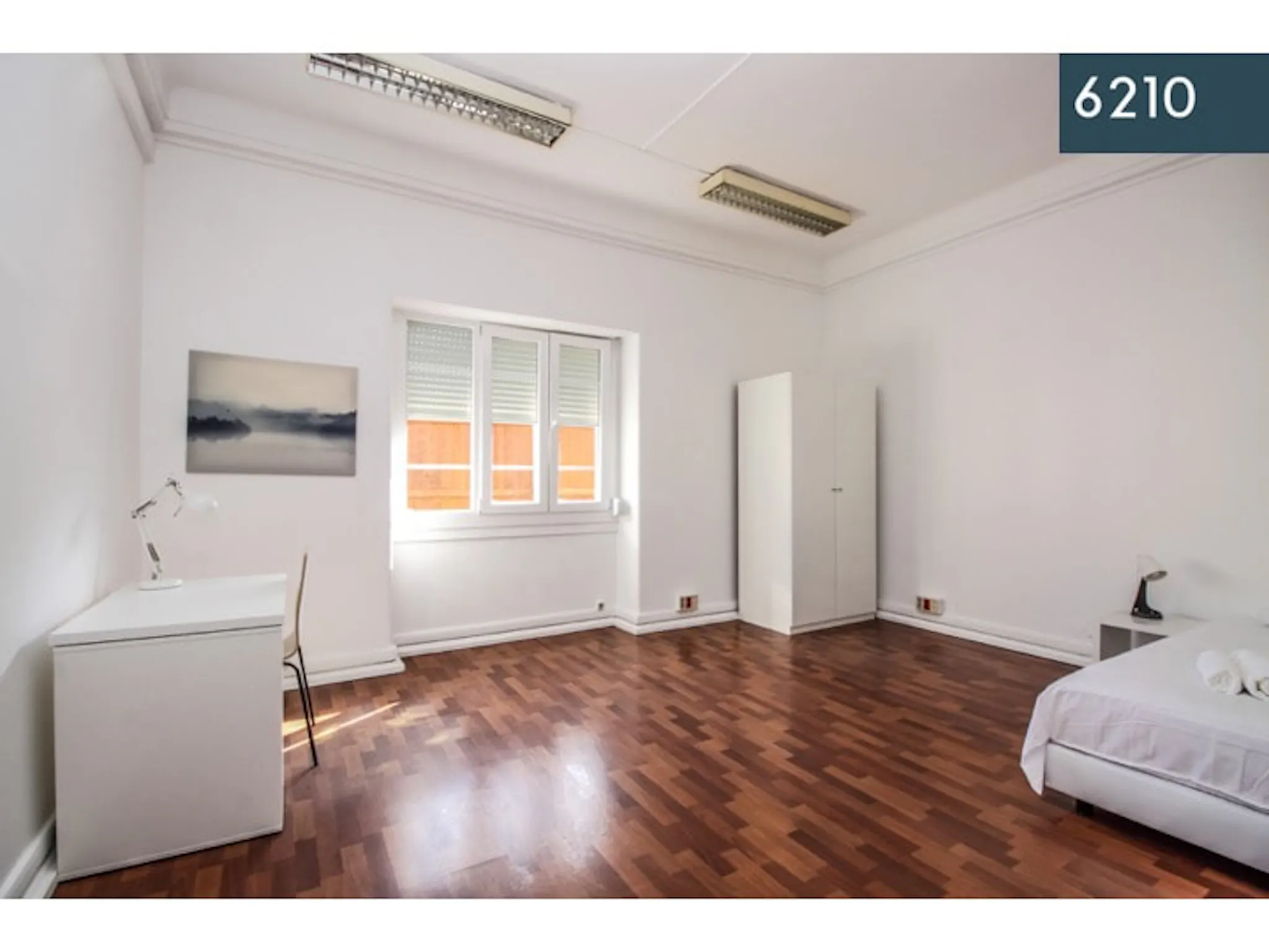 Alameda Dom Afonso Henriques, Lisbon preview