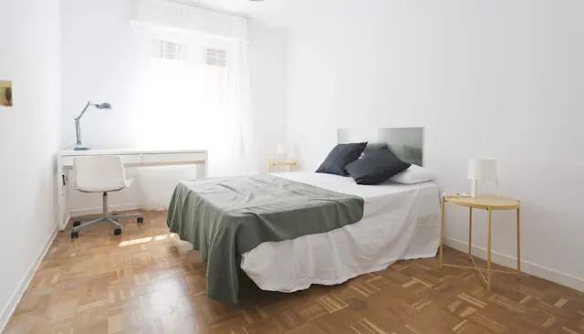 Private room in Avenida de Bruselas, Madrid (1032583) room image 1