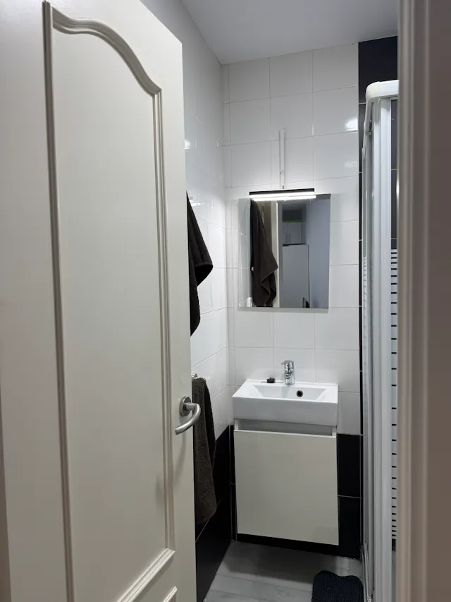 1-Bedroom Apartment in Calle de María de Guzmán, Madrid (1038177) room image 30