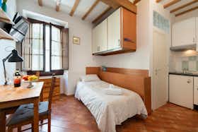 Studio para alugar por € 750 por mês em Florence, Borgo Allegri